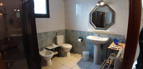 a bathroom with a sink and a toilet and a mirror at T2 de 55m avec jardin et parking privatifs in Aix-les-Bains