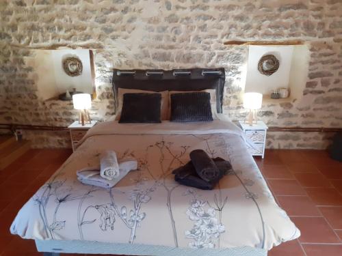 ein Schlafzimmer mit einem Bett mit zwei Lampen an zwei Tischen in der Unterkunft gîte le tilleul de la Fontaine in Alluy