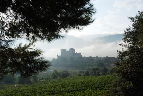 a castle on top of a hill in the fog at Castell de Riudabella in Vimbodí