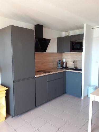 a kitchen with gray cabinets and a counter top at Studio cabine Thalacap Vue mer in Banyuls-sur-Mer