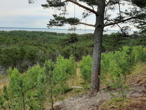 Gambar di galeri bagi Kalno namai - apartamentas Juodkrantėje di Juodkrantė