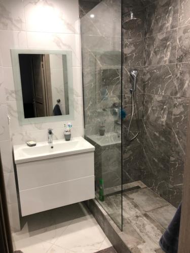 a bathroom with a sink and a shower at Apartments na Solnechnoy 9 in Zelenogradsk