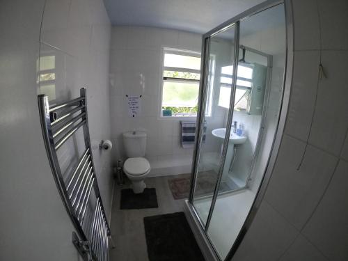 uma casa de banho com um chuveiro, um WC e um lavatório. em Hampton House-Inn em Northampton
