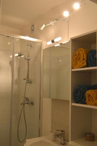 une salle de bain avec douche et lavabo dans l'établissement Matin d'été, à Chartres