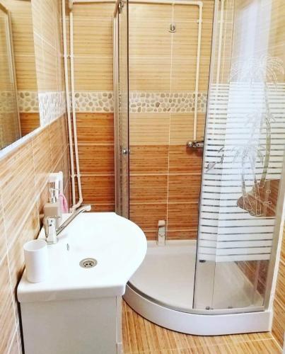 a bathroom with a shower and a white sink at Casa Raul in (( Coramnic ))
