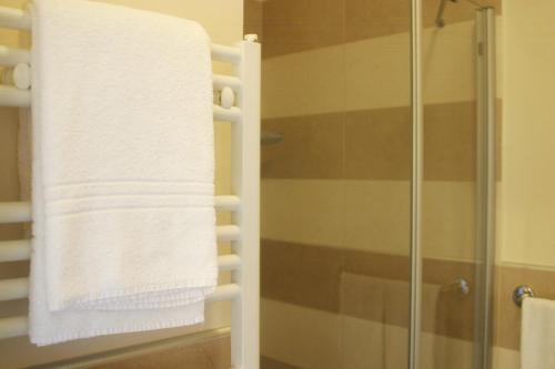 a towel rack in a bathroom with a shower at Appartamenti Piazza Umberto I in Torri del Benaco