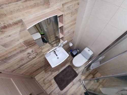 a bathroom with a sink and a toilet and a mirror at Scandinavian Apartment in Palanga in Palanga