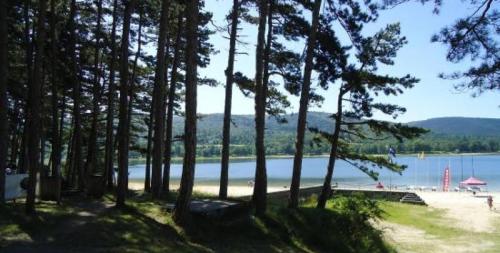 a beach with trees and a body of water at LOFT COSY - CENTRE HISTORIQUE climatisé in Revel