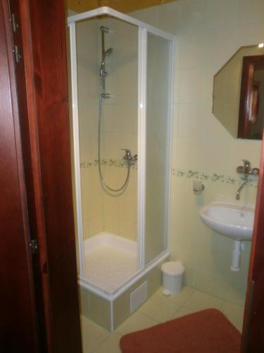een badkamer met een douche en een wastafel bij ASPEN in Nová Lesná