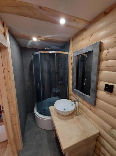 a bathroom with a sink and a glass shower at U Młynorza Jacuzzi ogrodowe całoroczne in Suche