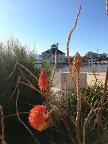 Presqu'île de Cap Coudalere avec une chambre - PISCINE OUVERTE et chauffée -terrasse-aire de jeux d'enfants - Parking - Terrain multisport - Terrain de pétanque