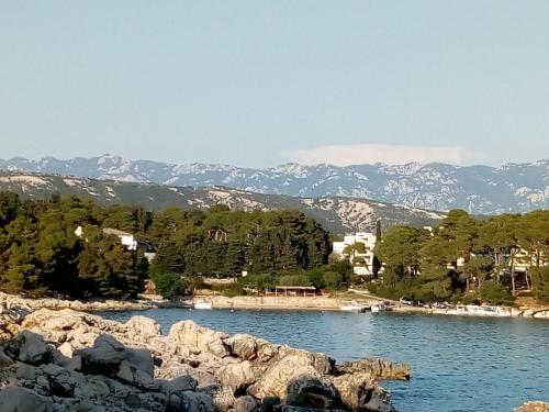 Apartments Suha Punta - Crnic