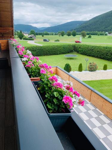 a balcony with pink flowers in a pot at Appartements-Dalila in Sankt Michael im Lungau