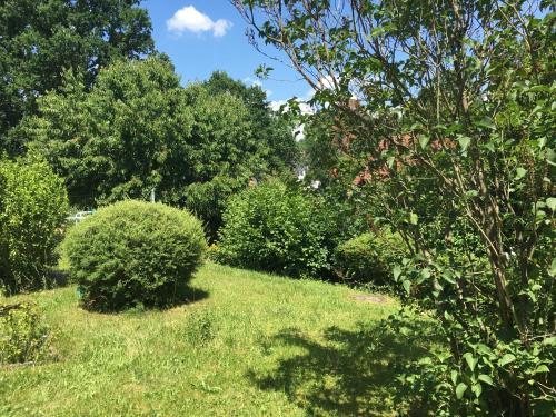 Taman di luar Vor den Toren Bambergs - Einfamilienhaus mit Garten!