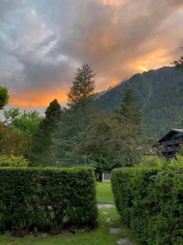 Studio au calme avec jardin et vue Mont-Blanc