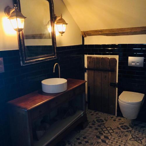 une salle de bain avec un lavabo, des toilettes et un miroir dans l'établissement Chambre familiale Élevage Girbal, à La Chapelotte