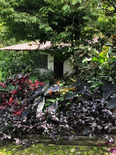 Κήπος έξω από το El Valle de Anton La Chachalaca