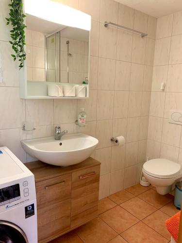 Amazing Apartment EIGER Grindelwald photo 3