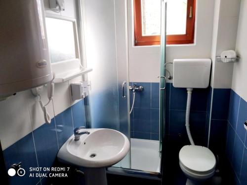 een kleine badkamer met een wastafel en een toilet bij IDI MI - DODJI MI in Vrnjačka Banja