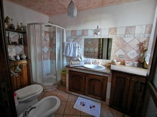 een badkamer met een wastafel, een douche en een toilet bij Casa Sa Hosta in Gavoi