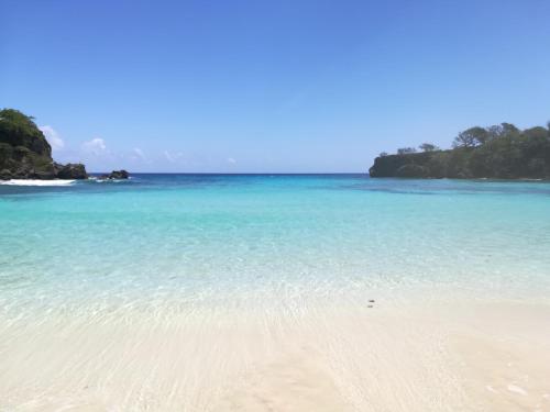 Galeriebild der Unterkunft TOGA GUEST HOUSE in Port Antonio