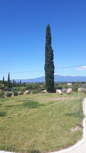 Příroda nedaleko prázdninového domu