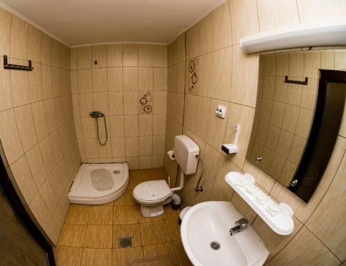 uma casa de banho com um lavatório, um WC e um espelho. em Delta Paradis Resort em Murighiol