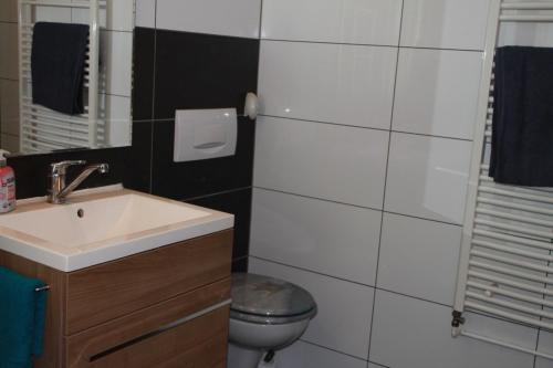 a bathroom with a sink and a toilet at Ferienhaus am Ellerbach in Bad Dürrenberg