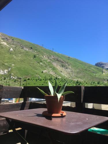 einer Topfpflanze auf einem Tisch in der Unterkunft Studio rénové - Val Claret centre - Exposition sud in Tignes