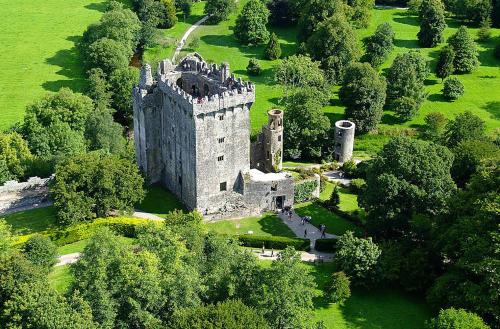 an old castle in the middle of a field at Wellfield Farmhouse in Tipperary