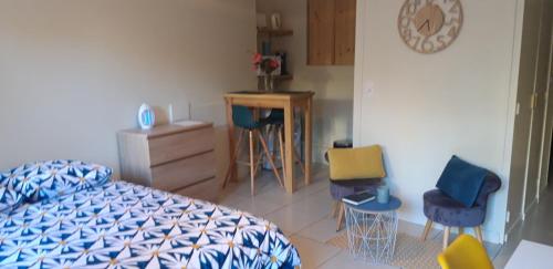 studio avec terrasse et jardinet en centre ville