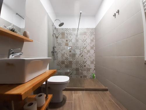 La salle de bains est pourvue de toilettes, d'un lavabo et d'une douche. dans l'établissement MIRANA, à Cristian
