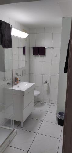 インターラーケンにあるSwiss Interlaken Apartment "Luxury"の白いバスルーム(洗面台、トイレ付)