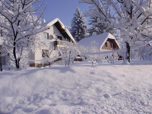 a house covered in snow in front of trees at House Jezerka in Jezerce