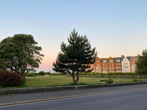 a tree in front of a large building at 15 Grosvenor in Hastings