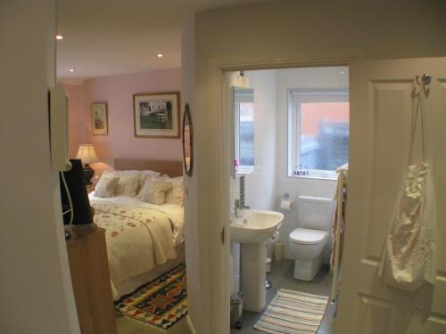 a bedroom with a bed and a sink and a toilet at The Lantern in Donaghadee