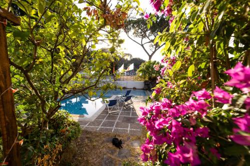 Gallery image of Villa Cinque Pini in Ischia