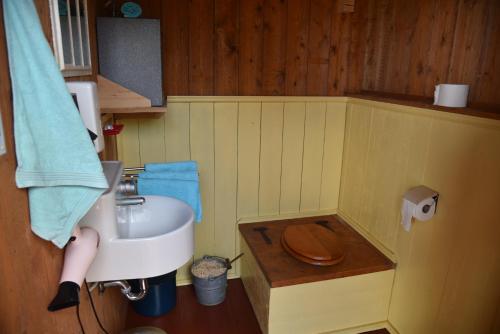 La petite salle de bains est pourvue d'un lavabo et de toilettes. dans l'établissement Countryside Eco Natuurhuisjes, à Ee
