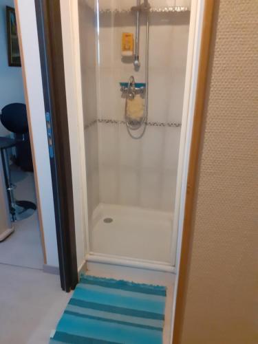 a shower in a room with a blue carpet at Studio chaleureux Beauvais-centre, gare et proche Aéroport in Beauvais