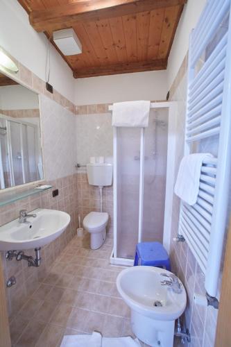 a bathroom with a sink and a toilet and a shower at Agriturismo Roeno in Belluno Veronese