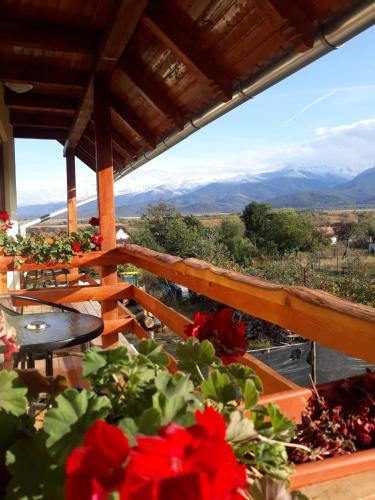 a view from the balcony of a house with red flowers at PENSIUNEA LEIA Transfăgărășan in Cîrţişoara