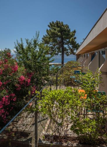 Κήπος έξω από το Hotel L'Escale