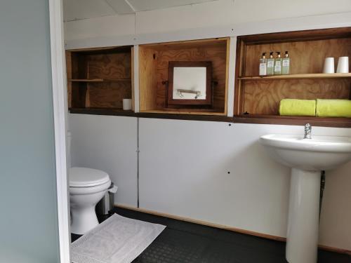 La salle de bains est pourvue d'un lavabo et de toilettes. dans l'établissement Mama Out of Africa, à Livingstone