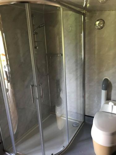 a shower with a glass door in a bathroom at Old Mill House Log Cabins in Dorchester