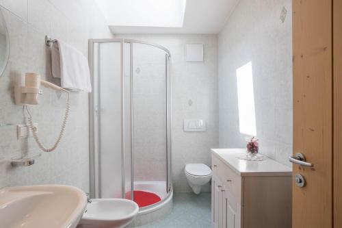 ein Bad mit einer Dusche, einem WC und einem Waschbecken in der Unterkunft Apartment Kornblume - Mesnerhof in Sand in Taufers