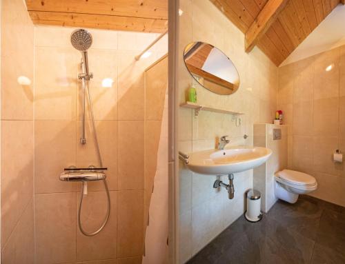 a bathroom with a shower and a sink and a toilet at De Vrijheid-Melkstal in De Cocksdorp