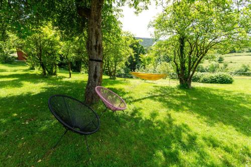 two tennis rackets sitting in the grass next to a tree at Ranch Jelov Klanac in Rakovica