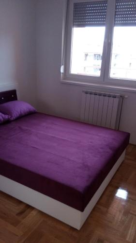 a large purple bed in a room with two windows at Apartman Sanja in Lukavica