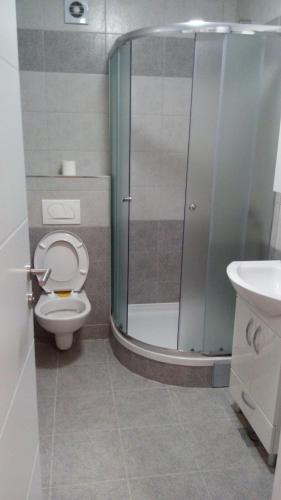 a bathroom with a shower and a toilet and a sink at Apartman Sanja in Lukavica