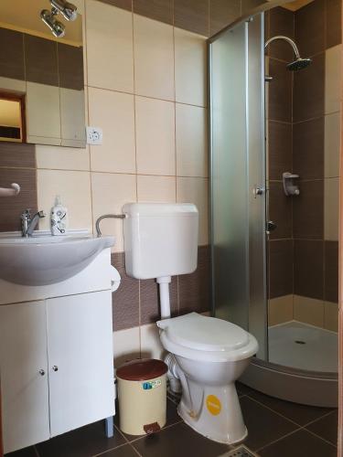 a bathroom with a toilet and a sink and a shower at PENSIUNEA LEIA Transfăgărășan in Cîrţişoara